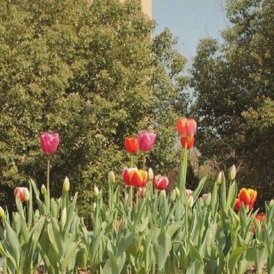 爱游戏综合官方网站App下载