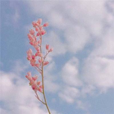 南宫28手机app下载