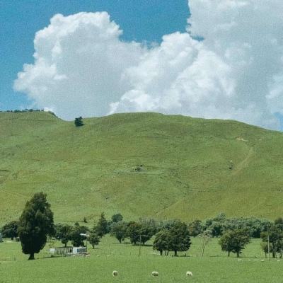 金年会娱乐app官方网站