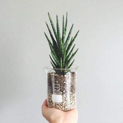 皇冠新体育APP下载