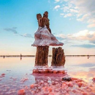 威尼斯官方网址下载