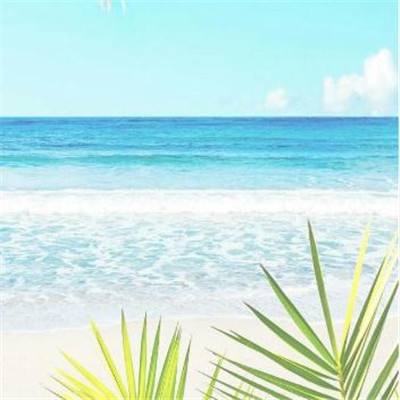 开全站登录app下载手机版