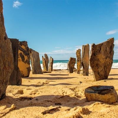 365平台下载手机app下载