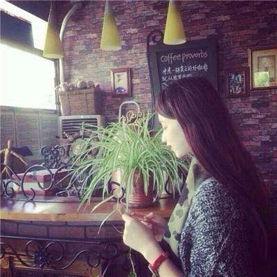 半岛·体育官方登录入口截图